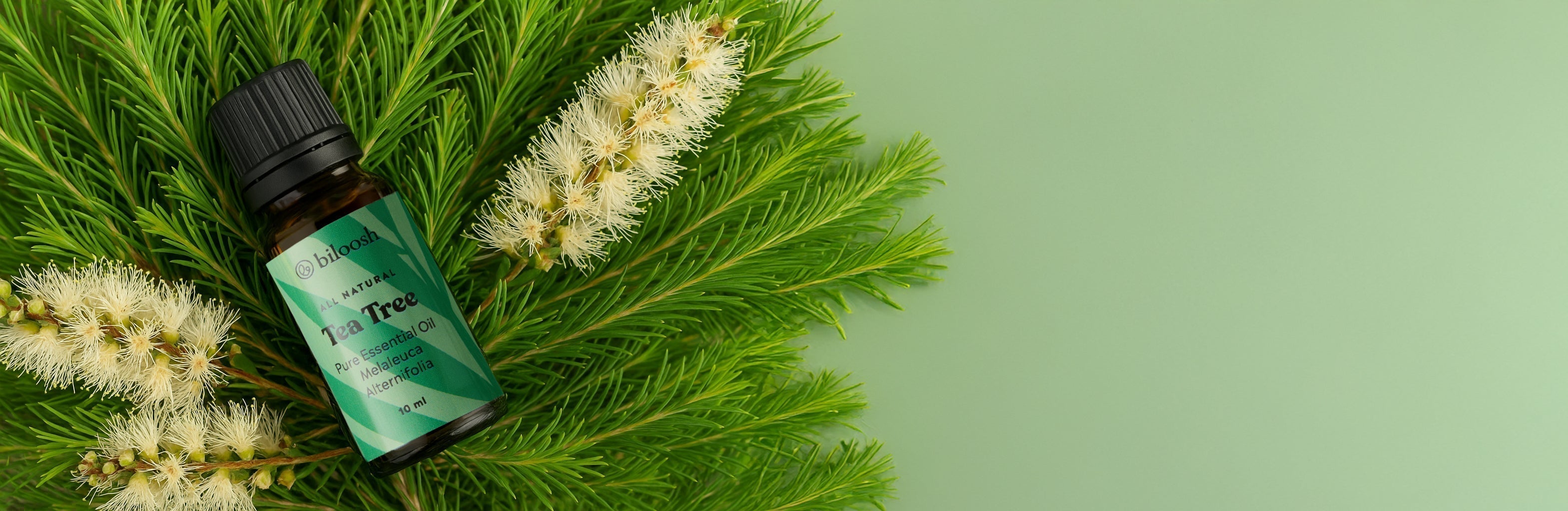 Tea Tree Essential Oil - Why This Little Bottle Has a Big Place in My Home